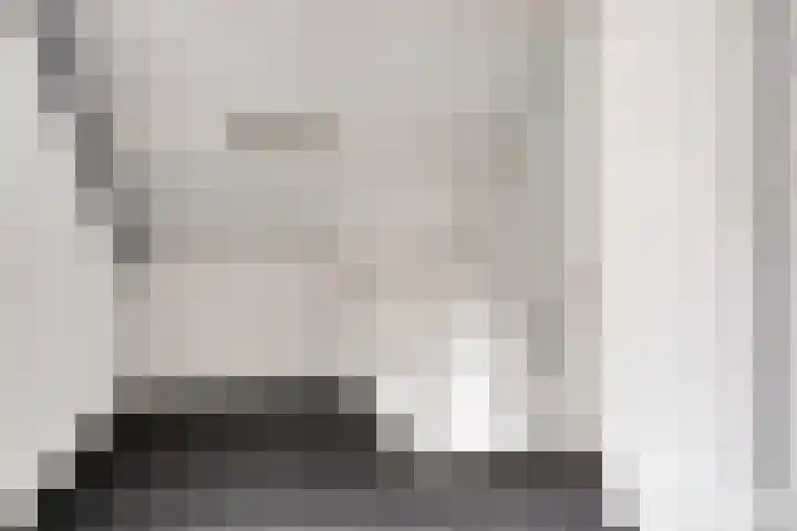 Meeuwenlaan 57 Sneek thumbnail 32
