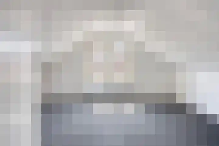 Meeuwenlaan 57 Sneek thumbnail 34