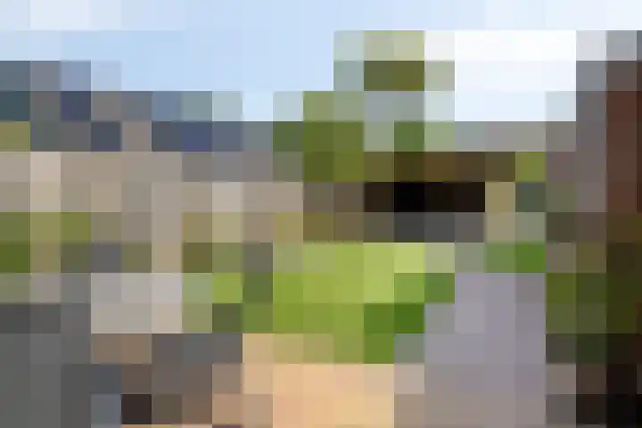Meeuwenlaan 57 Sneek thumbnail 35