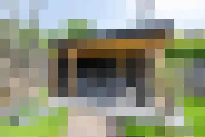 Meeuwenlaan 57 Sneek thumbnail 37