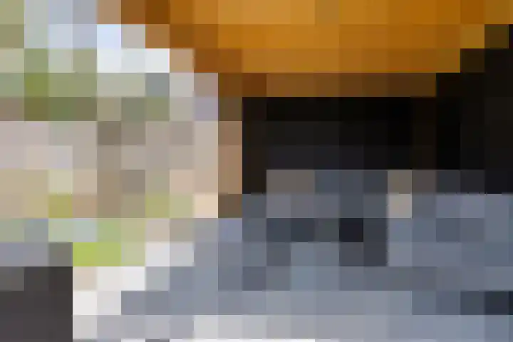 Meeuwenlaan 57 Sneek thumbnail 40