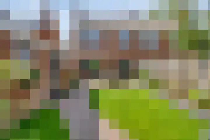 Meeuwenlaan 57 Sneek thumbnail 41