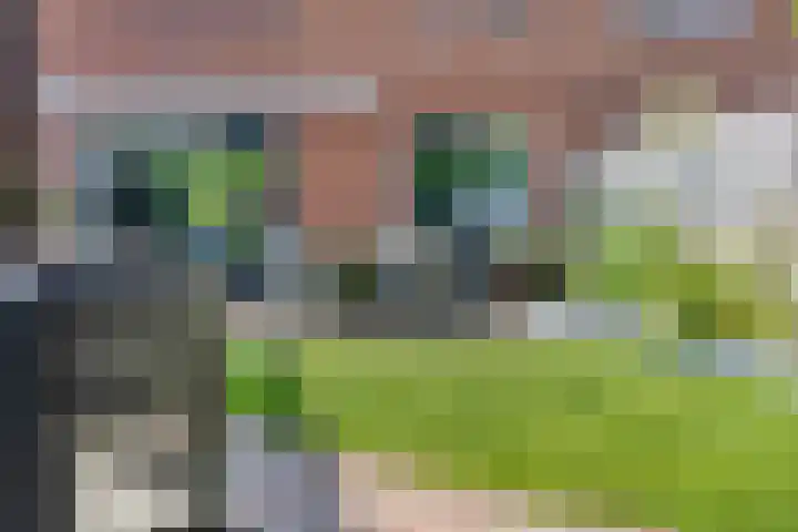Meeuwenlaan 57 Sneek thumbnail 42