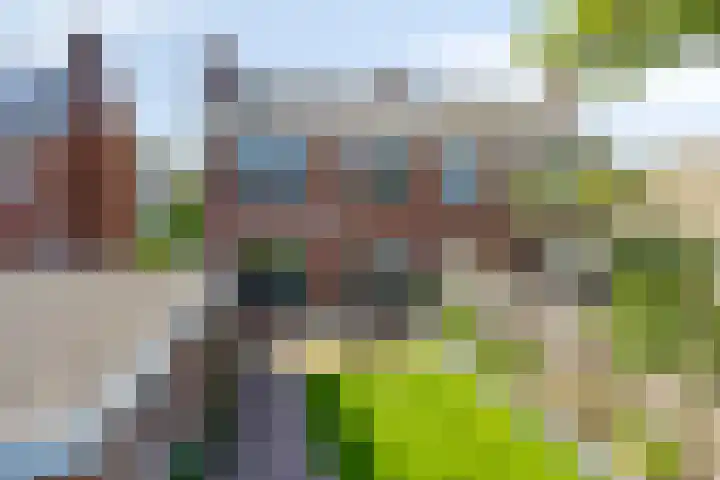 Meeuwenlaan 57 Sneek thumbnail 43