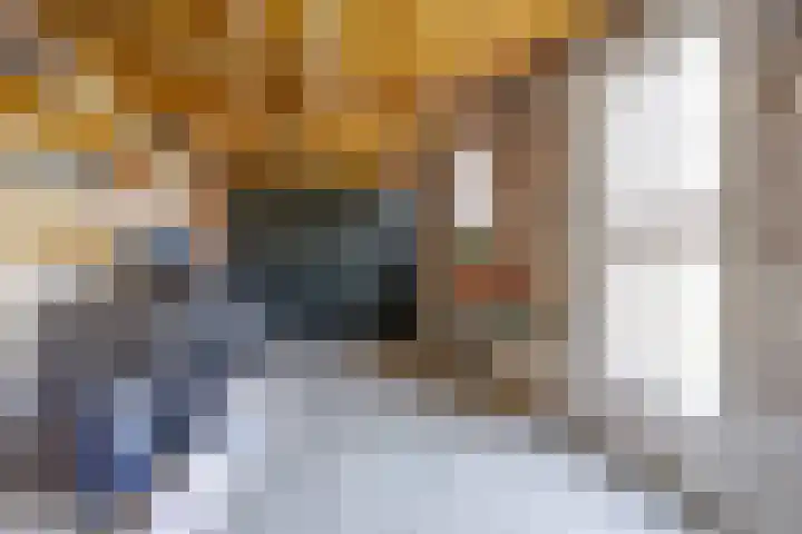 Meeuwenlaan 57 Sneek thumbnail 44