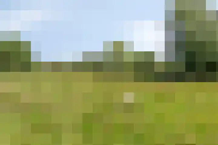 Meeuwenlaan 57 Sneek thumbnail 46