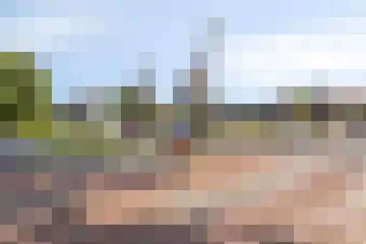 Meeuwenlaan 57 Sneek thumbnail 47