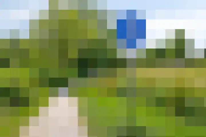 Meeuwenlaan 57 Sneek thumbnail 48
