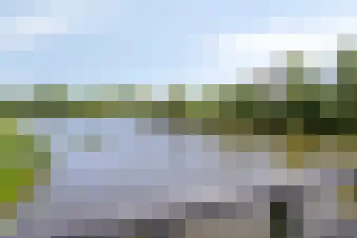 Meeuwenlaan 57 Sneek thumbnail 49