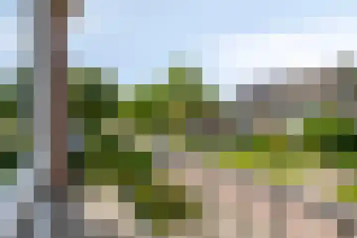 Meeuwenlaan 57 Sneek thumbnail 6