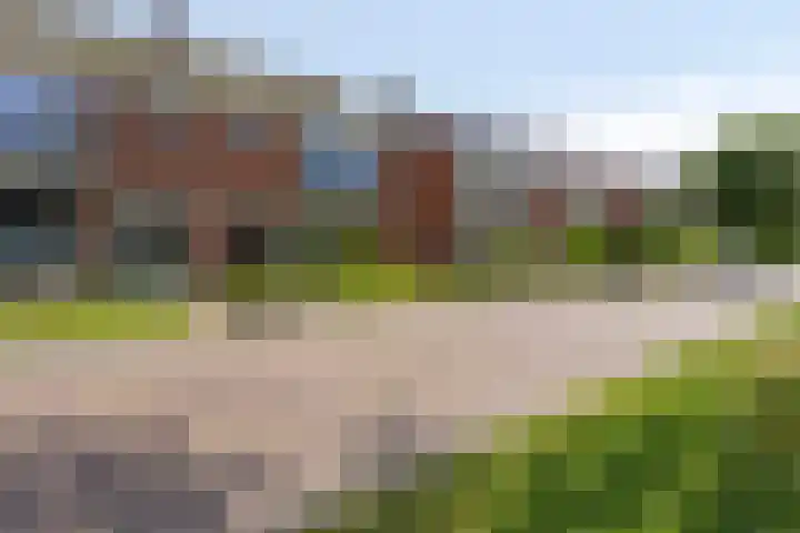 Meeuwenlaan 57 Sneek thumbnail 7