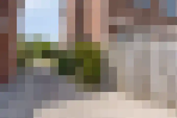 Meeuwenlaan 57 Sneek thumbnail 9