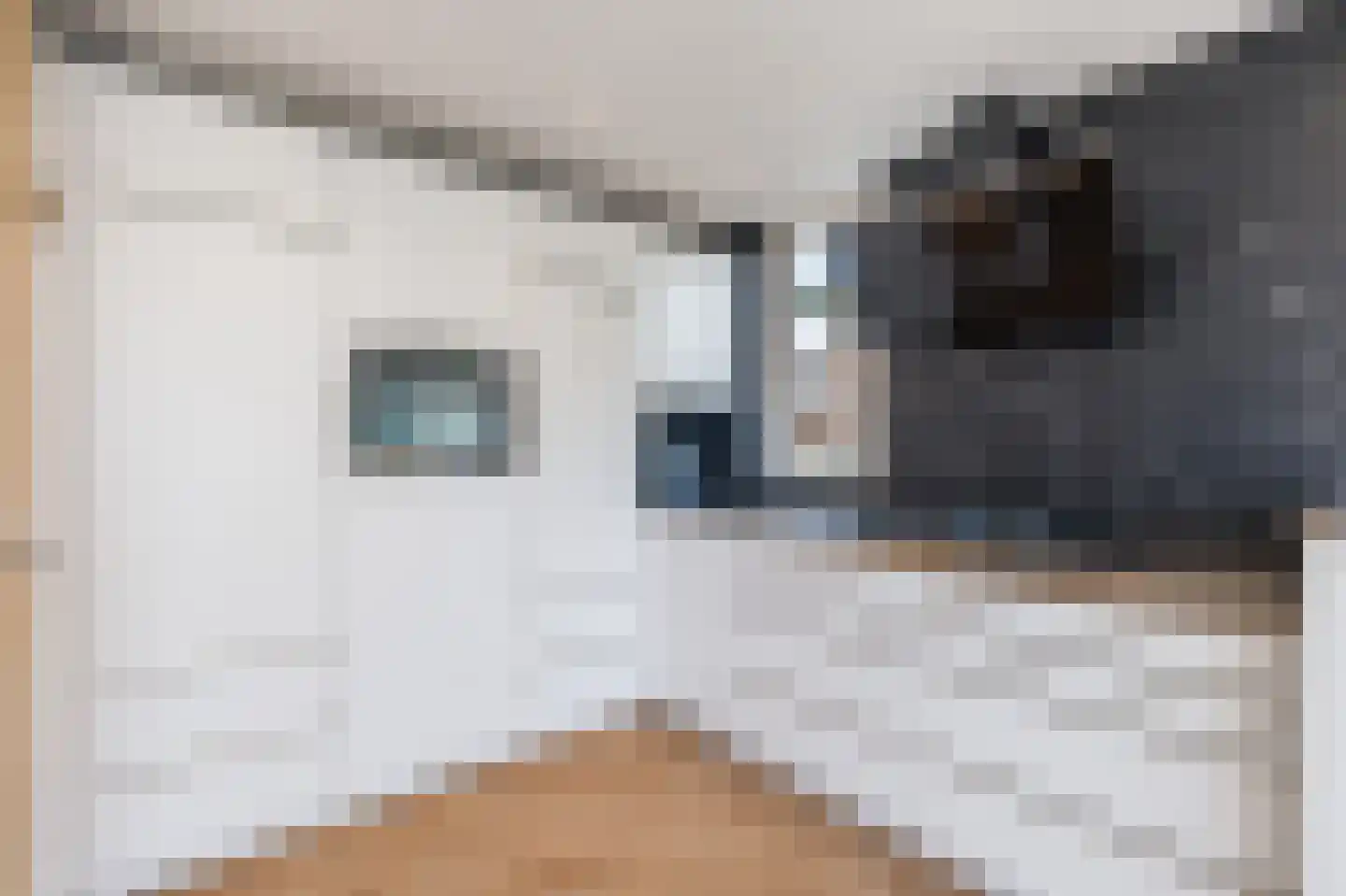 Meeuwenlaan 58 Noordwijkerhout thumbnail 14