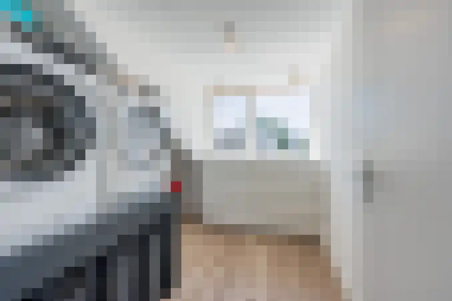 Meeuwenlaan 58 Noordwijkerhout thumbnail 34
