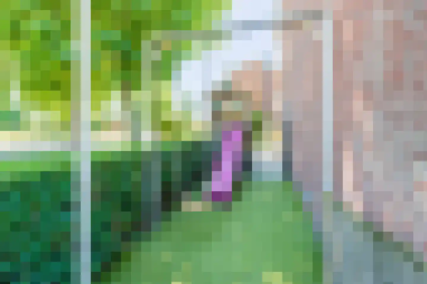 Meeuwenlaan 58 Noordwijkerhout thumbnail 42