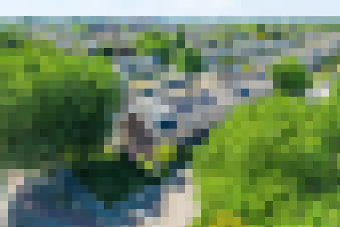 Meeuwenlaan 58 Noordwijkerhout thumbnail 48