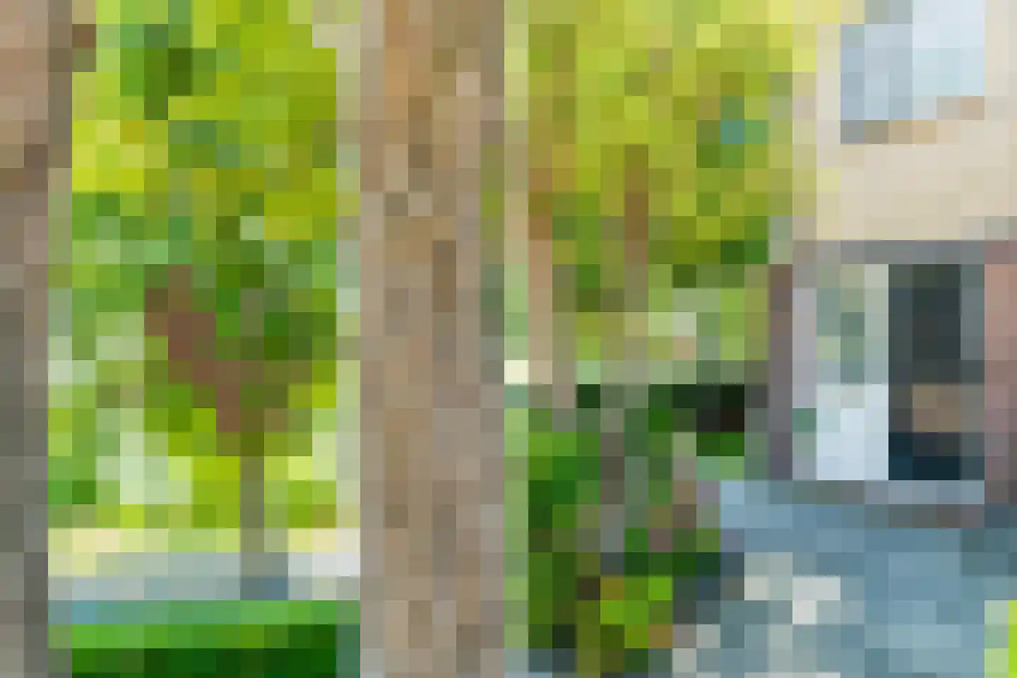 Meeuwenlaan 58 Noordwijkerhout thumbnail 6