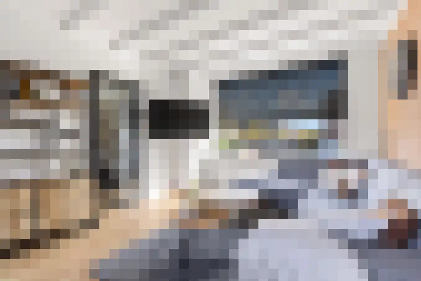 Meeuwenlaan 59 Lopik thumbnail 15