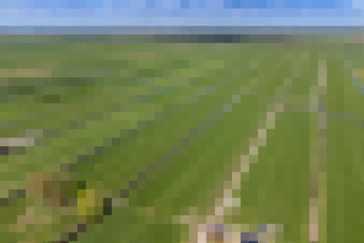 Meeuwenlaan 59 Lopik thumbnail 72