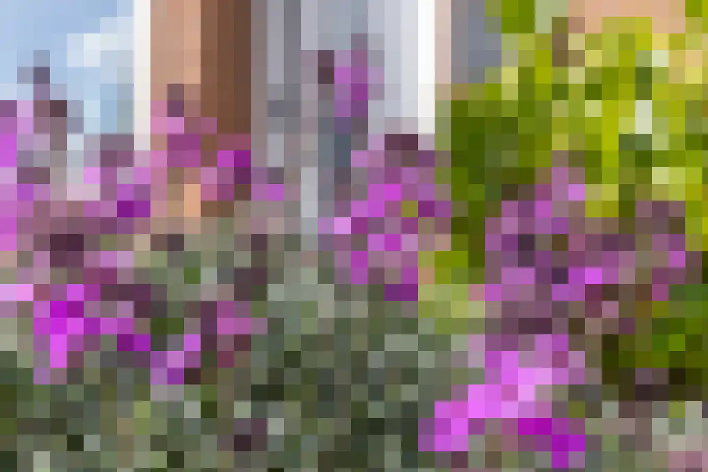 Meeuwenlaan 59 Lopik thumbnail 8