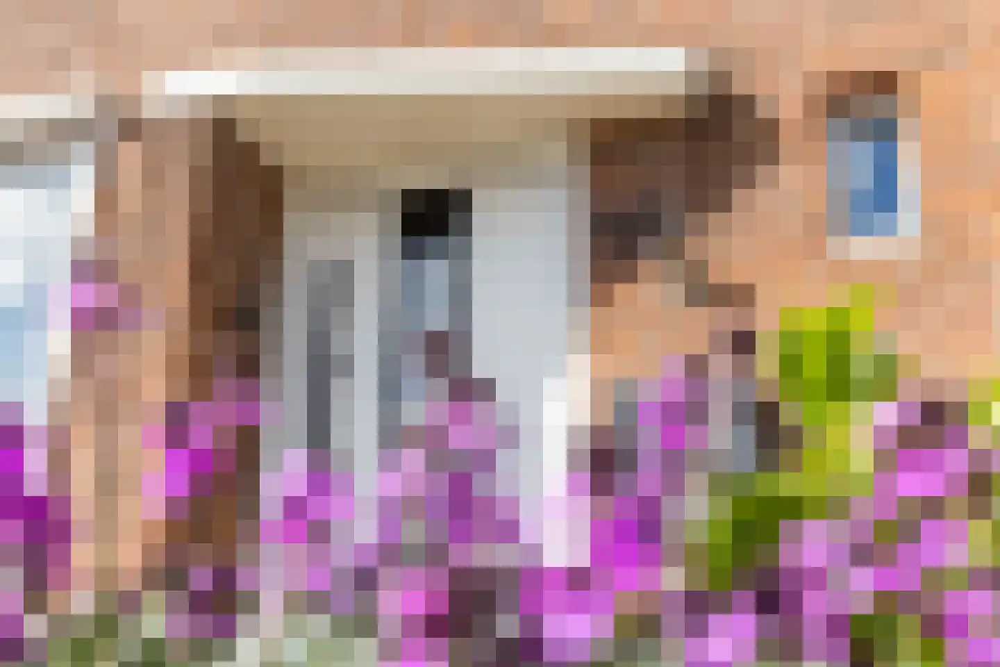 Meeuwenlaan 59 Lopik thumbnail 9