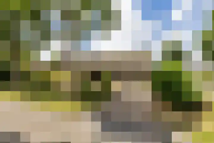 Meeuwenlaan 6 dans Oostvoorne