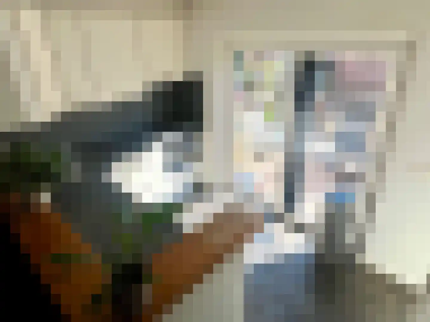 Meeuwenlaan 6 Lopik thumbnail 14