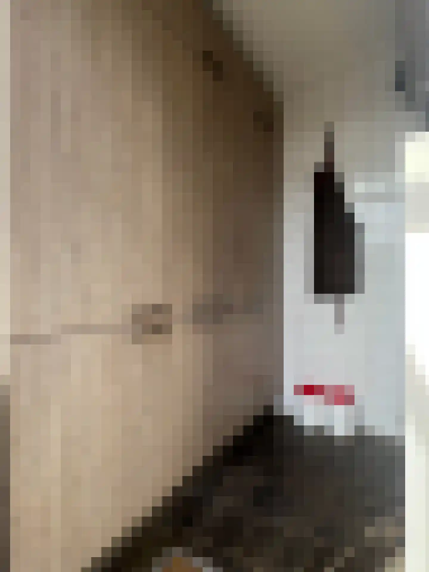 Meeuwenlaan 6 Lopik thumbnail 15