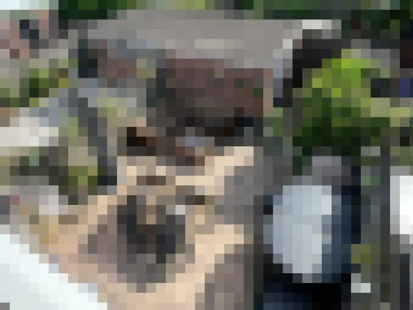 Meeuwenlaan 6 Lopik thumbnail 27