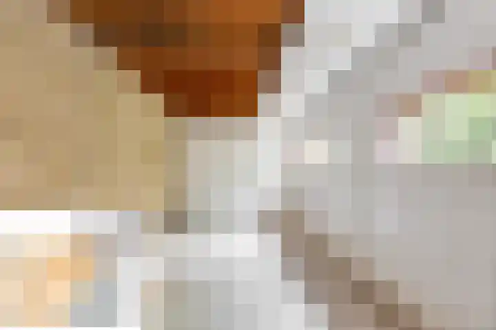 Meeuwenlaan 6 Oostvoorne thumbnail 19