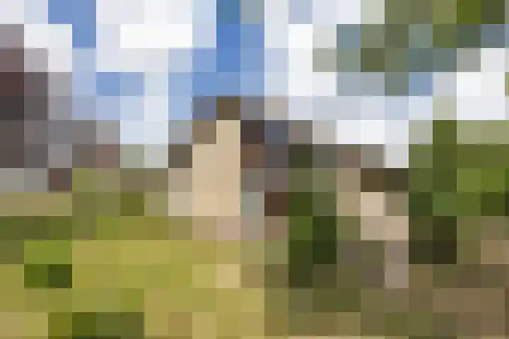 Meeuwenlaan 6 Oostvoorne foto 2