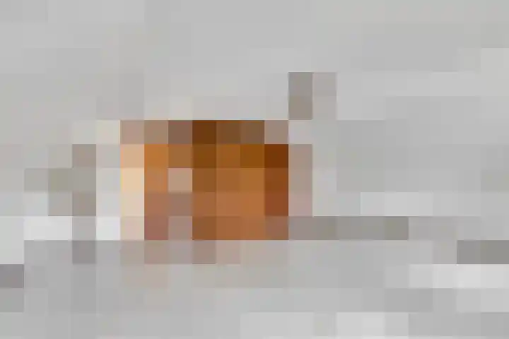 Meeuwenlaan 6 Oostvoorne thumbnail 24