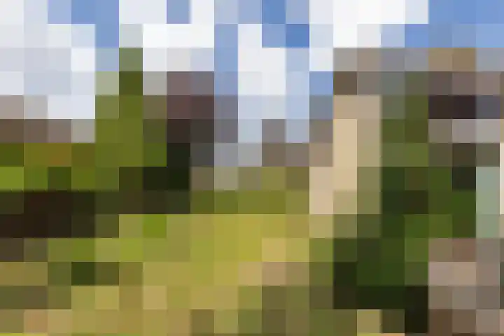 Meeuwenlaan 6 Oostvoorne thumbnail 27