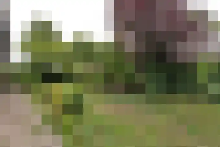 Meeuwenlaan 6 Oostvoorne thumbnail 28