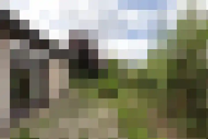 Meeuwenlaan 6 Oostvoorne thumbnail 29