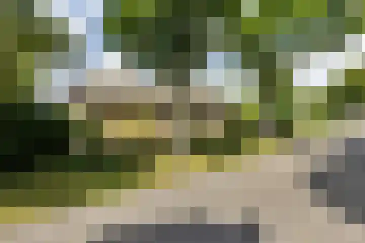 Meeuwenlaan 6 Oostvoorne thumbnail 30