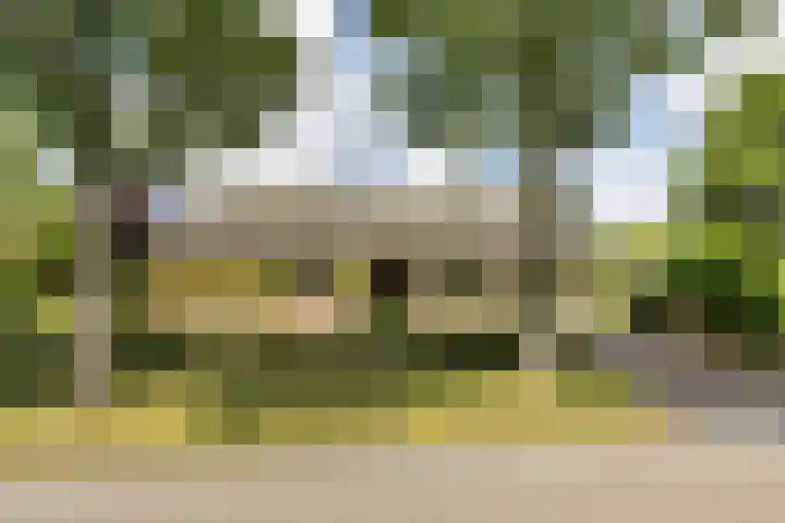 Meeuwenlaan 6 Oostvoorne thumbnail 5