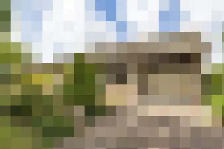 Meeuwenlaan 6 Oostvoorne thumbnail 6