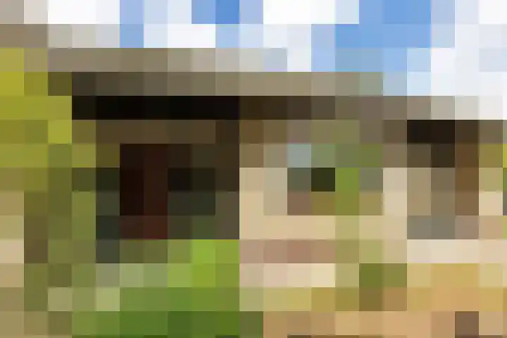 Meeuwenlaan 6 Oostvoorne thumbnail 7
