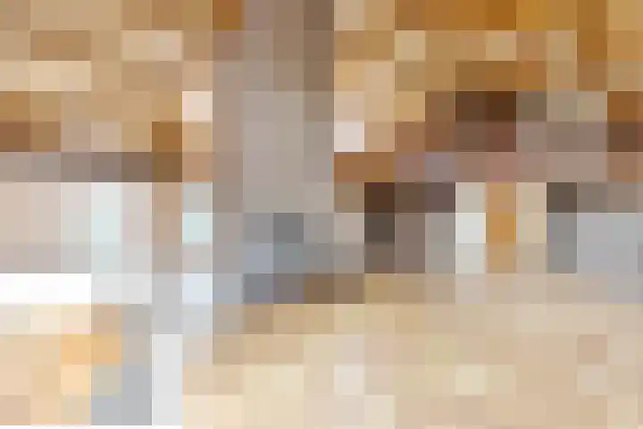 Meeuwenlaan 6 Oostvoorne thumbnail 8