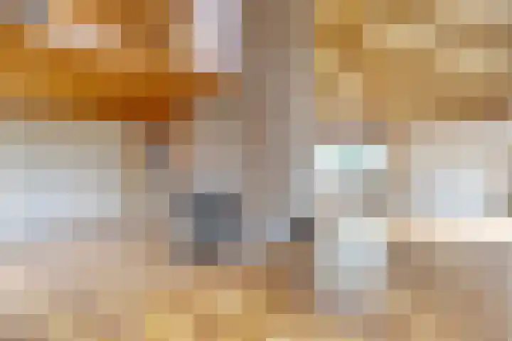 Meeuwenlaan 6 Oostvoorne thumbnail 9