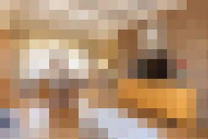 Meeuwenlaan 61 Lopik thumbnail 10