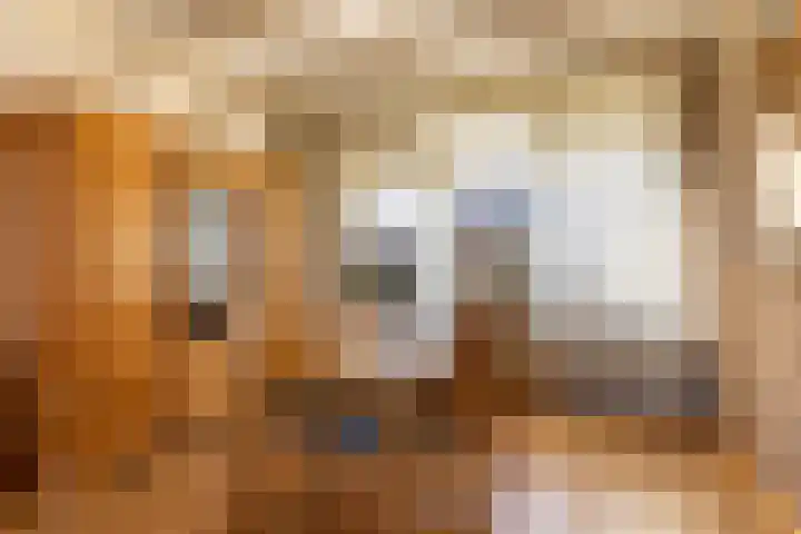 Meeuwenlaan 61 Lopik thumbnail 11