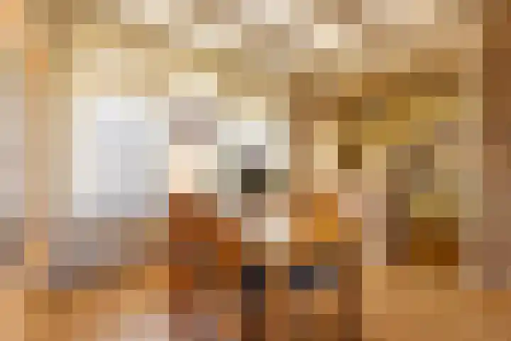 Meeuwenlaan 61 Lopik thumbnail 13
