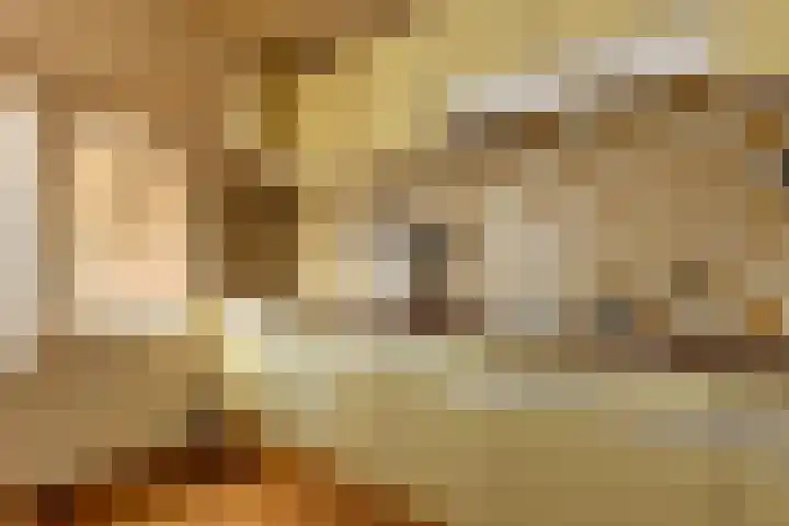 Meeuwenlaan 61 Lopik thumbnail 14