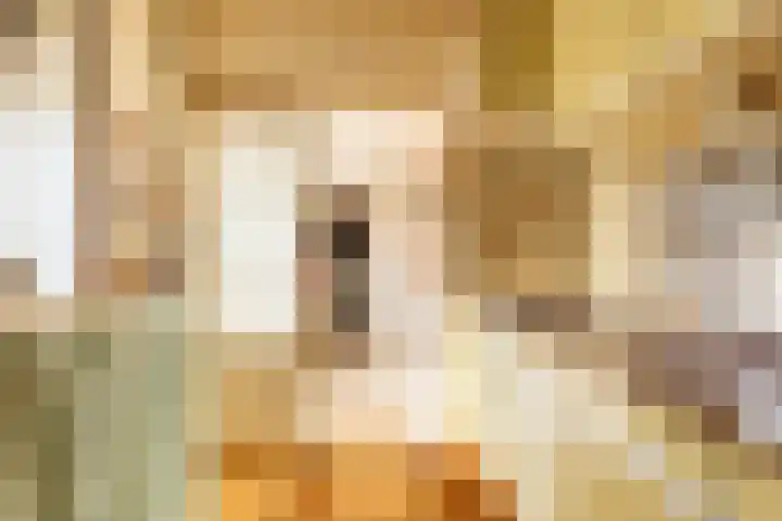 Meeuwenlaan 61 Lopik thumbnail 15