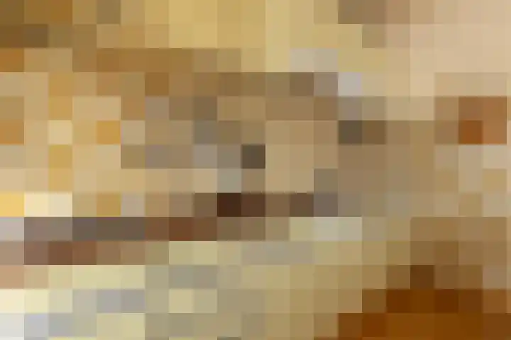 Meeuwenlaan 61 Lopik thumbnail 18
