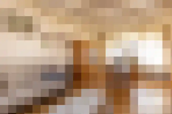 Meeuwenlaan 61 Lopik foto 2