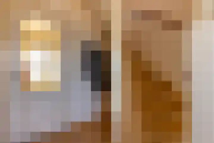 Meeuwenlaan 61 Lopik thumbnail 22