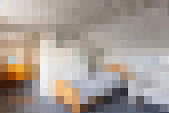 Meeuwenlaan 61 Lopik thumbnail 37